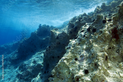 Fototapet Urchin barrens in littoral zone of coastline in Kas Antalya Turkey