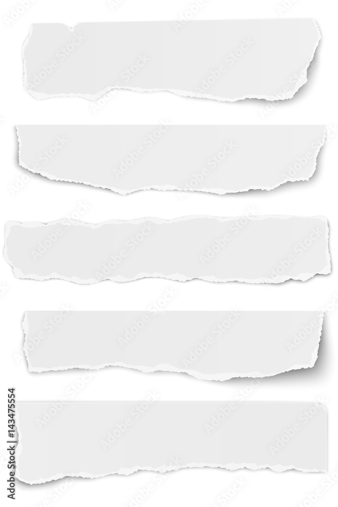Set of elongated tattered paper scraps isolated on white background Set of elongated tattered paper scraps isolated on white background