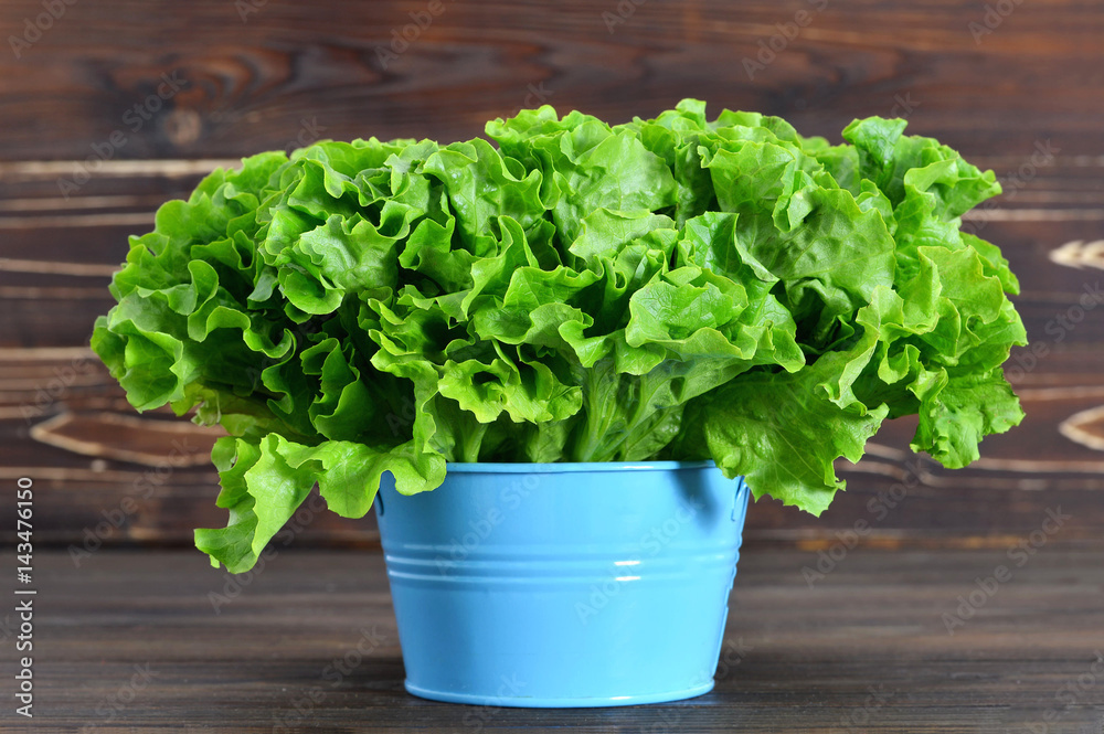 Fresh green lettuce salad in the bowl on wooden background Fresh green lettuce salad in the bowl on wooden background