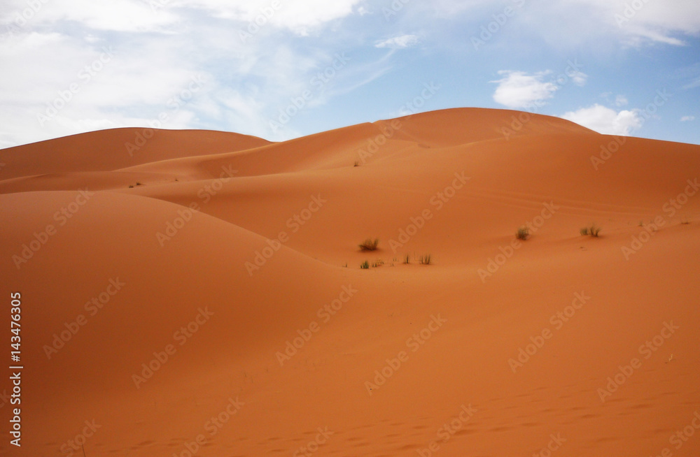 Fototapeta premium Desert at Merzouga, eastern Morocco