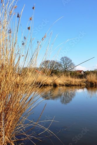 Dorfteich