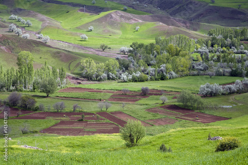 Scenic view of Kelkit Valley with spring blossoms Gumushane Turkey photo