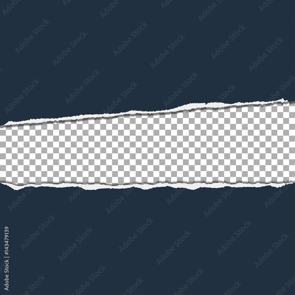Realistic vector torn paper with ripped edges with space for text