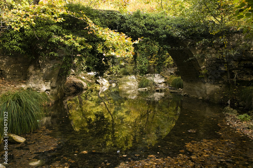 Historical stone arch bridge covered with vegetation Safranbolu Turkey.