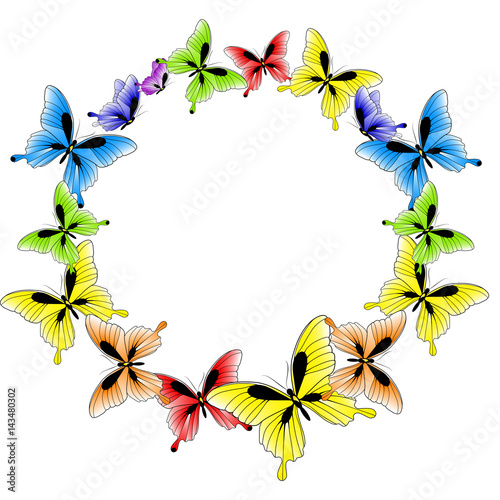 beautiful color butterflies set  isolated  on a white