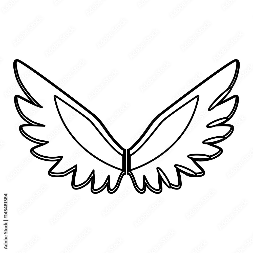 Feathers wing silhouette icon vector illustration graphic design Feathers wing silhouette icon vector illustration graphic design