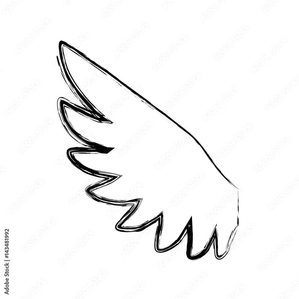 Feathers wing silhouette icon vector illustration graphic design Feathers wing silhouette icon vector illustration graphic design