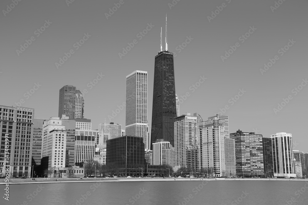 Chicago Skyline Black and White