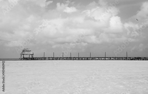 beach dock black and white