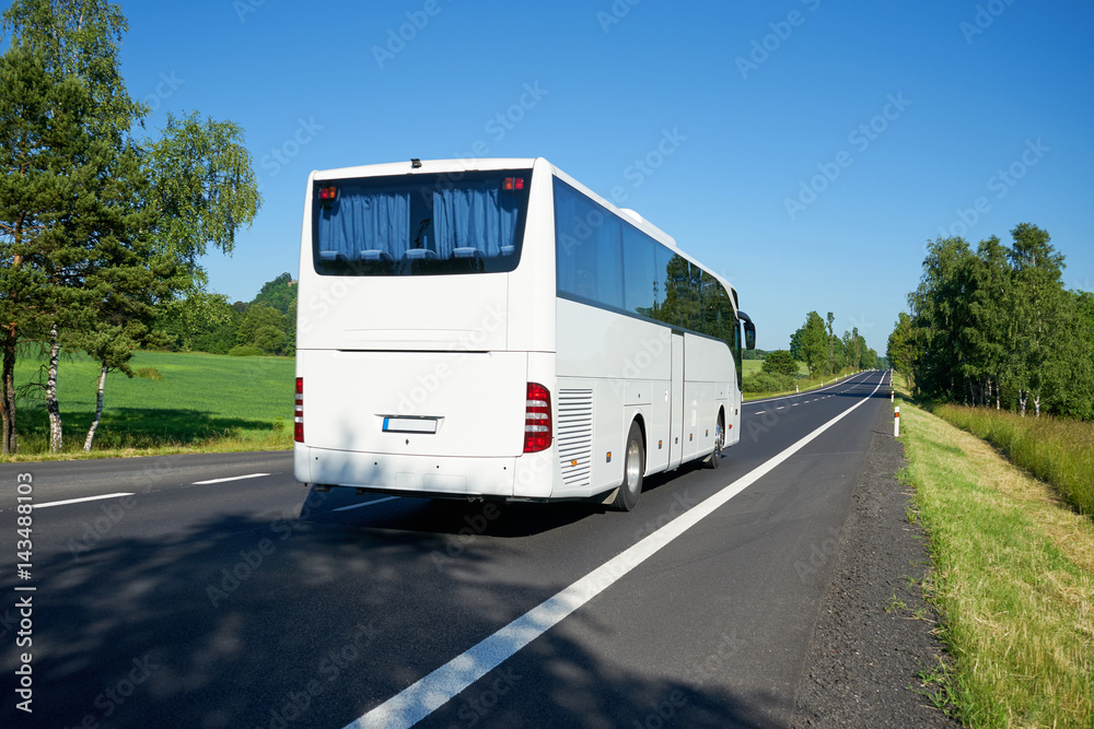 The white bus moving on asphalt road lined avenue of trees in a rural landscape on a bright sunny day