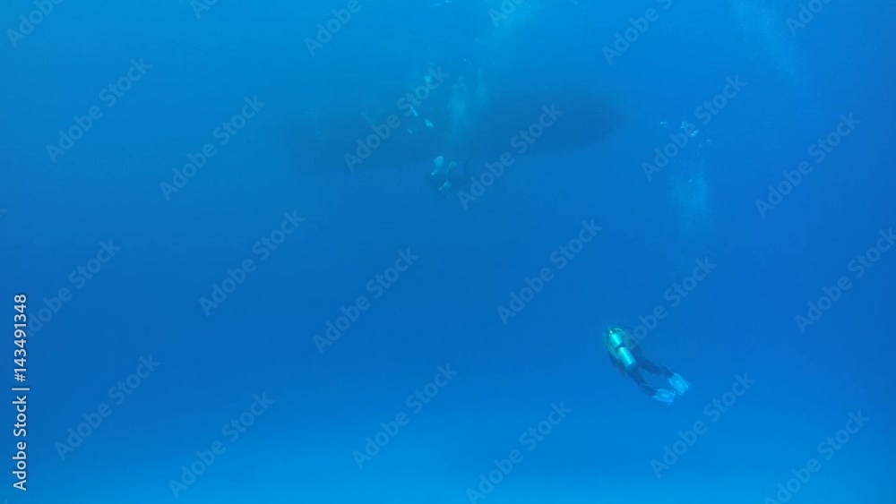 Group scuba divers swimming to a diving bot in blue water, Indian Ocean, Maldives
Group scuba divers swimming to a diving bot in blue water, Indian Ocean, Maldives