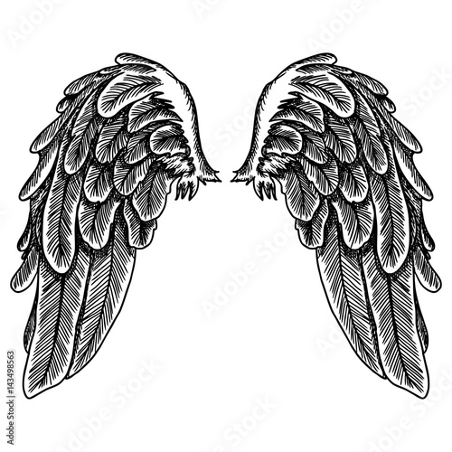 Spread set of wings. Hand drawn etched woodcut vintage style pair of wing collection vector.