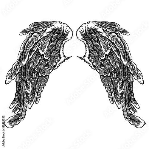 Spread set of wings. Hand drawn etched woodcut vintage style pair of wing collection vector.
