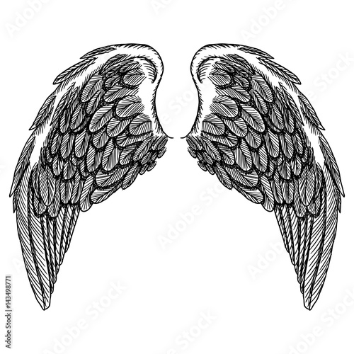 Spread set of wings. Hand drawn etched woodcut vintage style pair of wing collection vector.