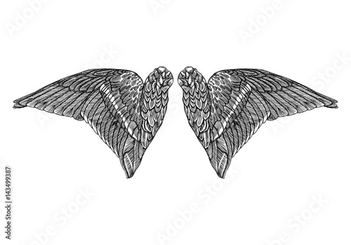 Wings. Set of black white bird and angel wings in open position isolated vector illustration.