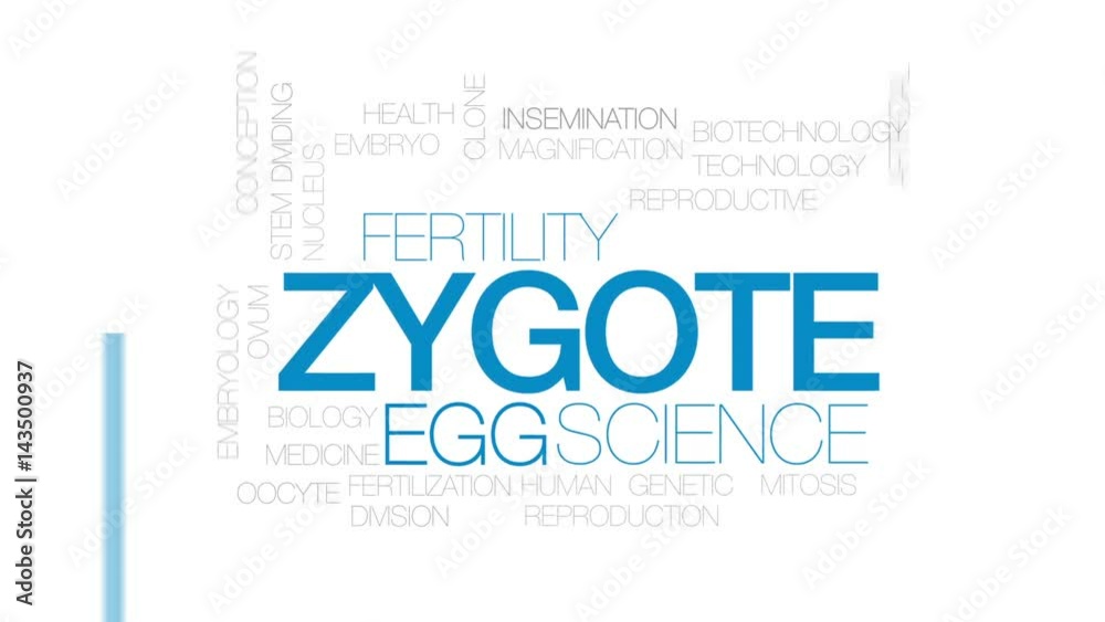 Zygote animated word cloud, text design animation. Kinetic typography.