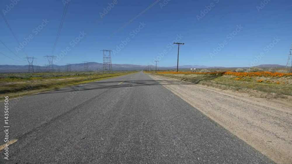 Driving Plates Poppy Flowers 02 Country Road California Driving Plates Poppy Flowers 02 Country Road California