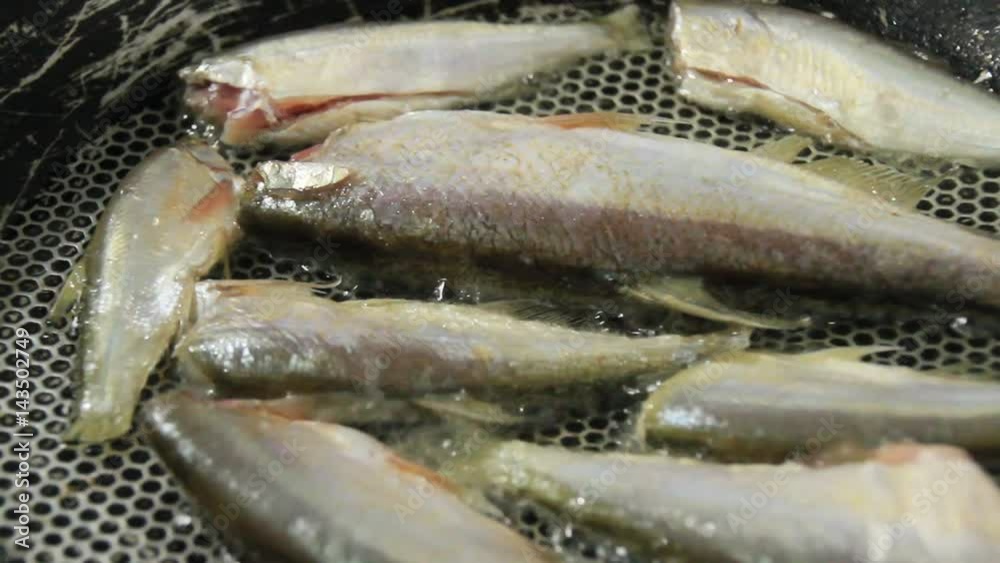 frying fish in the pan
frying fish in the pan