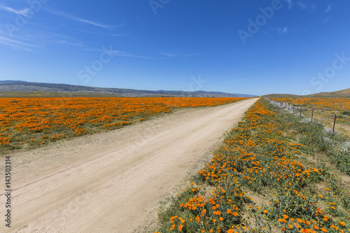 Poppy Road near Lancaster C...