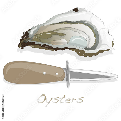 Fresh opened oyster on white