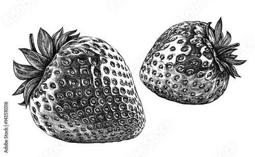 Engrave isolated strawberry hand drawn graphic illustration photo