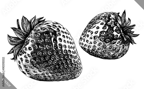 Engrave isolated strawberry hand drawn graphic vector illustration