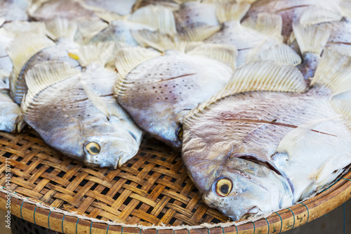 Fish market photo