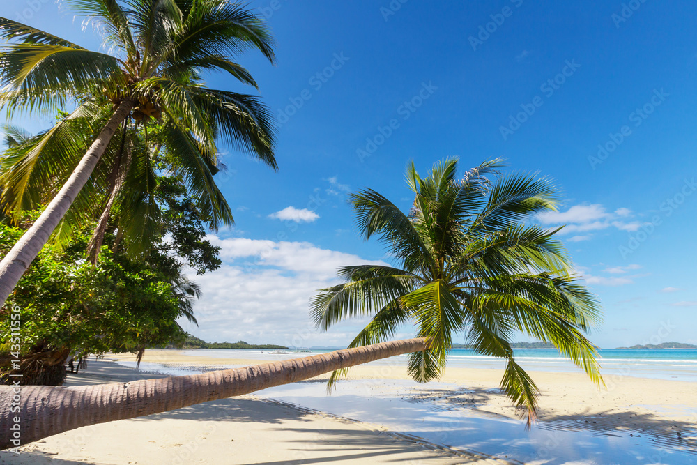 Obraz premium Tropical beach