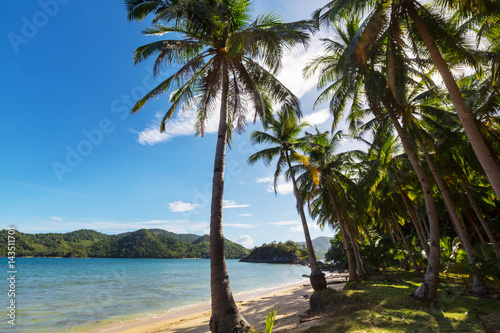 Tropical beach