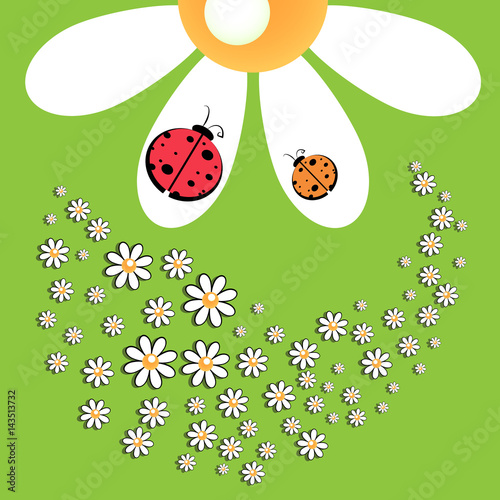 Glade with daisies and ladybug