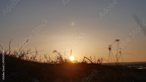 nature sunset. grass swaying in the wind on a beautiful sunset nature silhouette © maxximmm