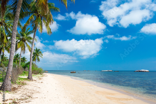 tropical beach in Sri Lanka © Pakhnyushchyy