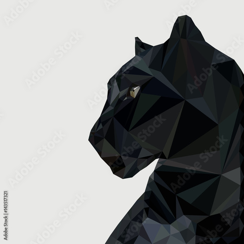 Panther in low photo