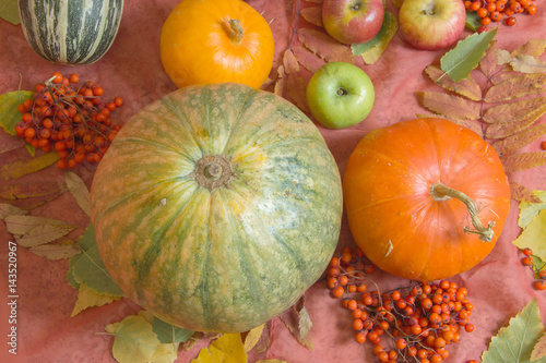 Autumn still life with pumpkins and apples