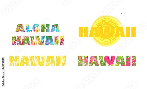 Collection t-shirt prints with hawaii lettering