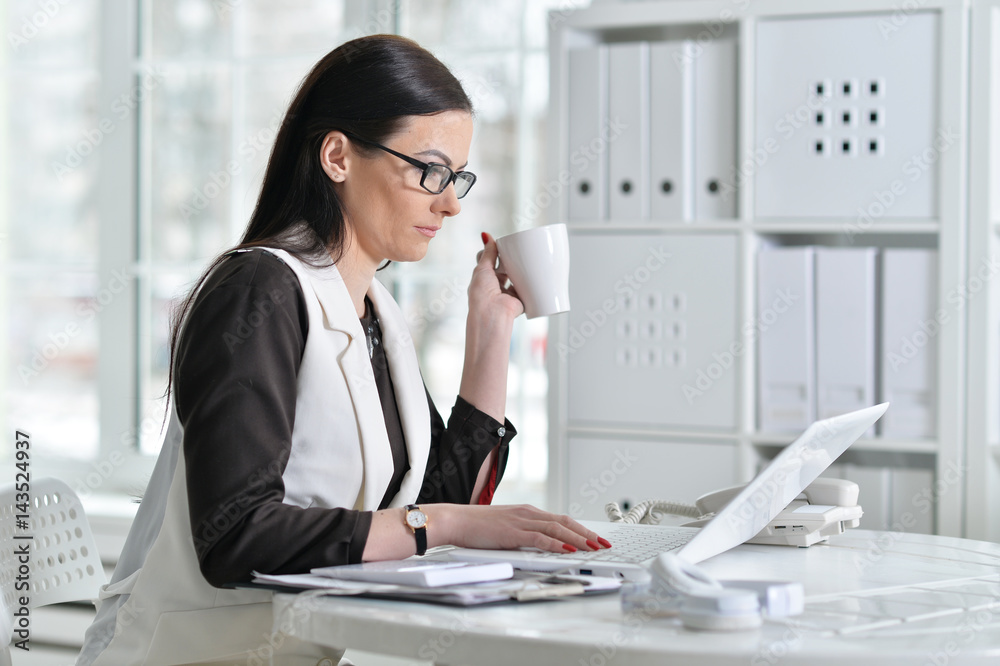 Portrait of a business woman with a laptop Portrait of a business woman with a laptop