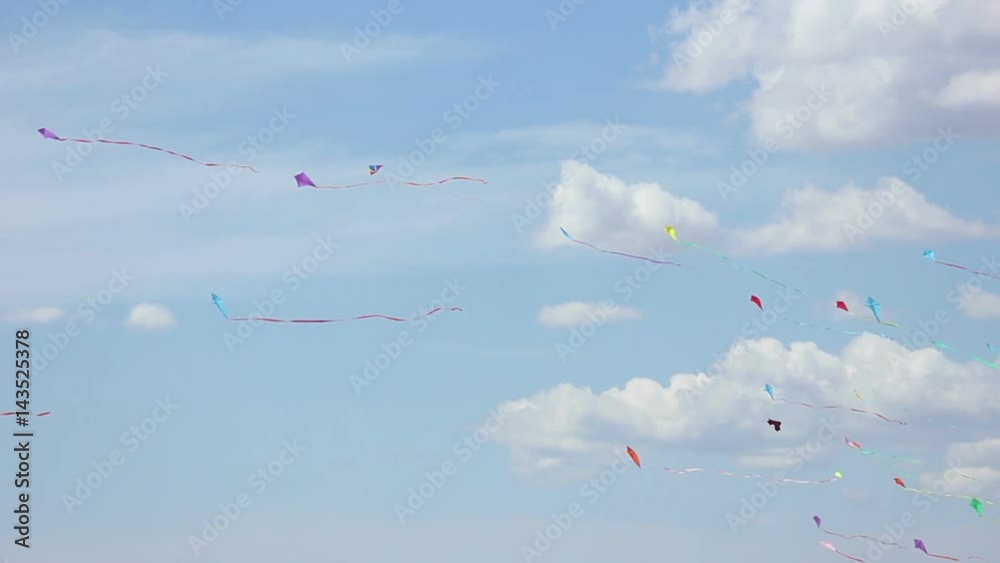 Kites flying