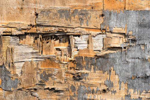 grunge Broken plywood for abstract background