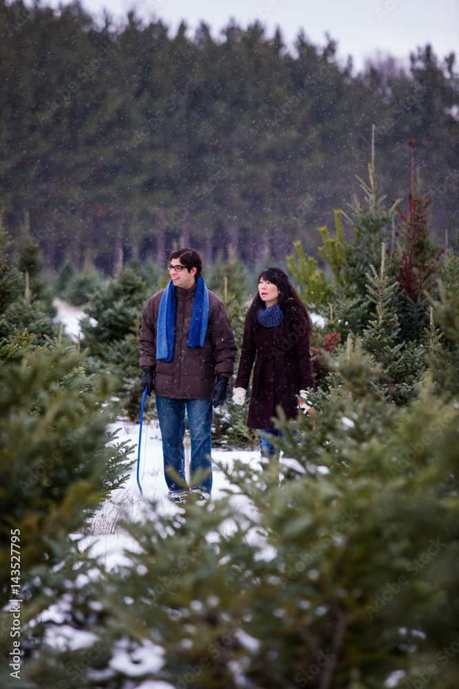 Mixed race couple searching for and cutting down a Christmas Tree