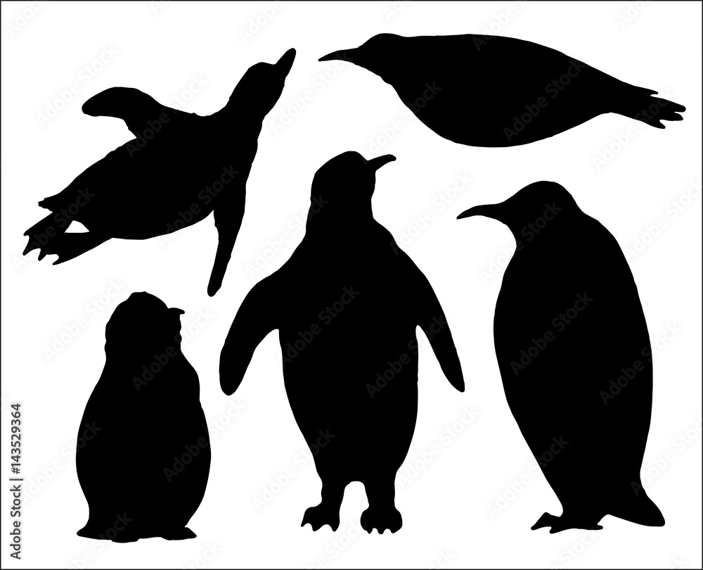 Naklejka premium set of isolated hand drawn pinguin silhouettes
