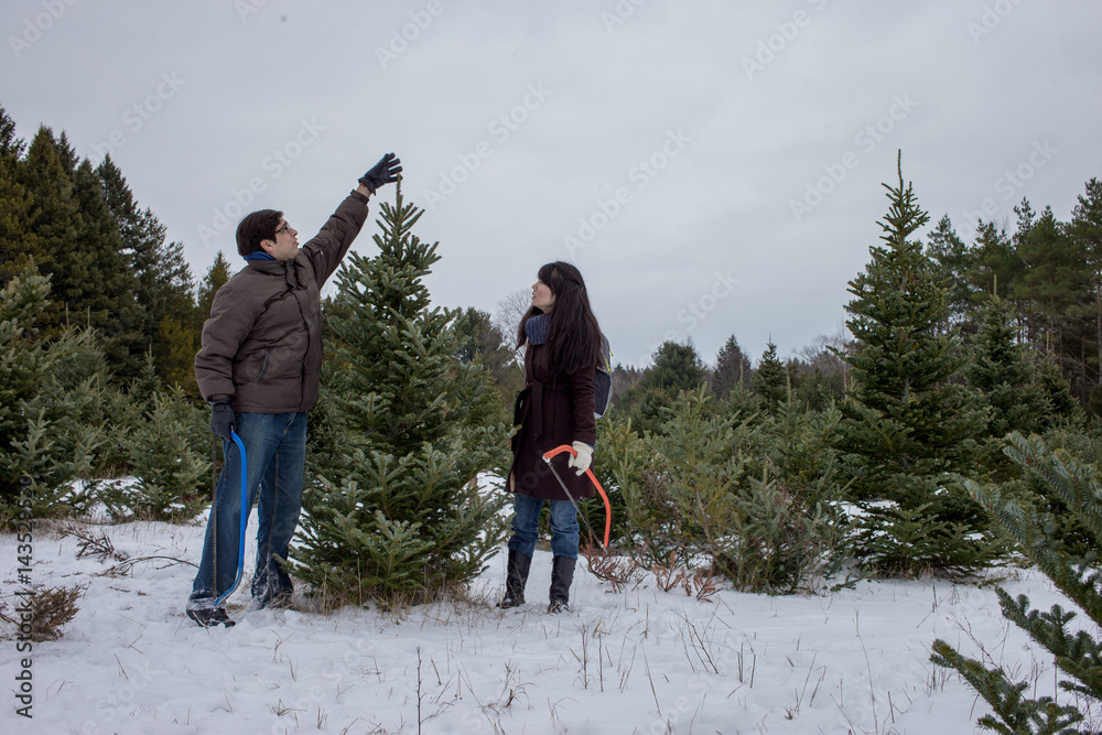 Mixed race couple searching for and cutting down a Christmas Tree