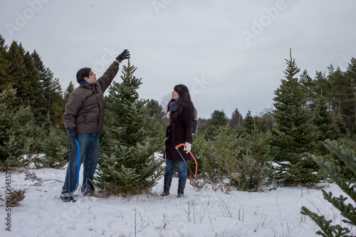 Obraz na płótnie Mixed race couple searching for and cutting down a Christmas Tree w salonie
