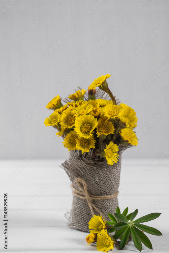 Bouquet of yellow spring flower on a white  background