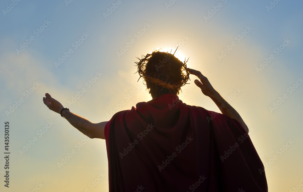 Obraz na plátně Jesus Christ with crown of thorns