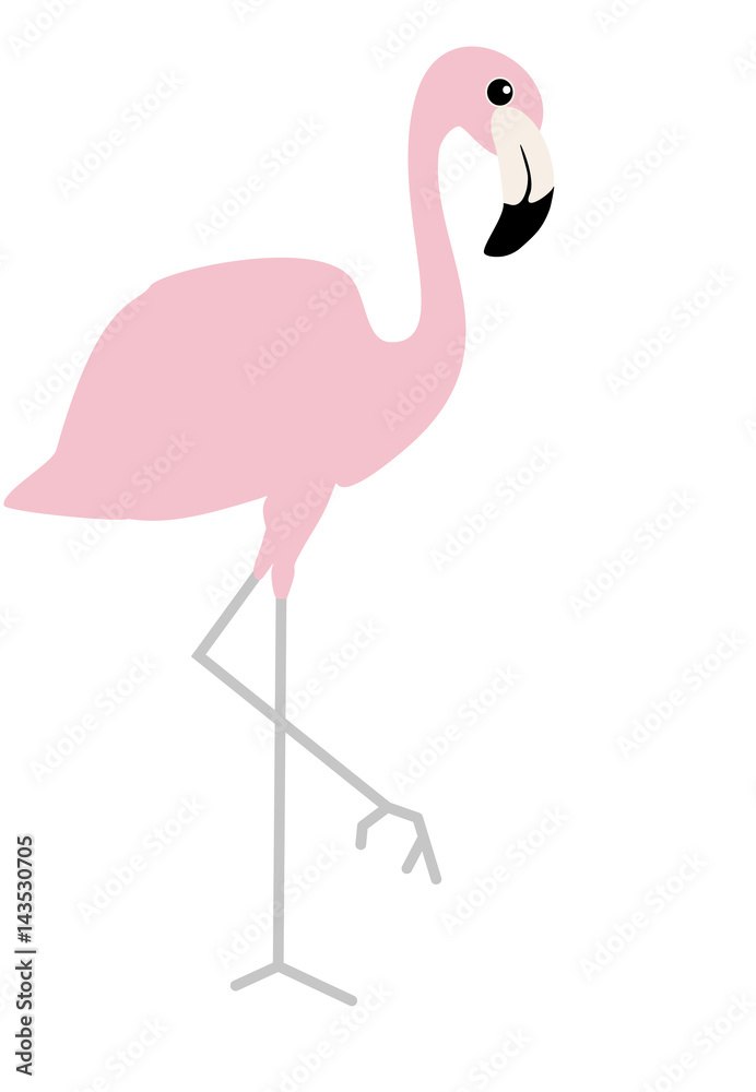 Fototapeta premium Pink flamingo. Vector illustration isolated on white background. Beautiful picture of tropical bird. Baby, cartoon style