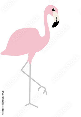 Pink flamingo. Vector illustration isolated on white background. Beautiful picture of tropical bird. Baby  cartoon style