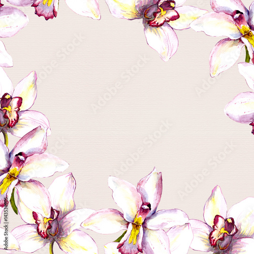 Floral beige background with white orchid flower. Hand painted aquarell drawing