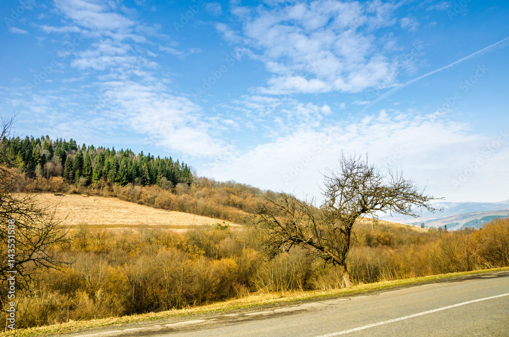 Spring landscape, tree without leaves on the slope of the road. Green lawn Spring landscape, tree without leaves on the slope of the road. Green lawn