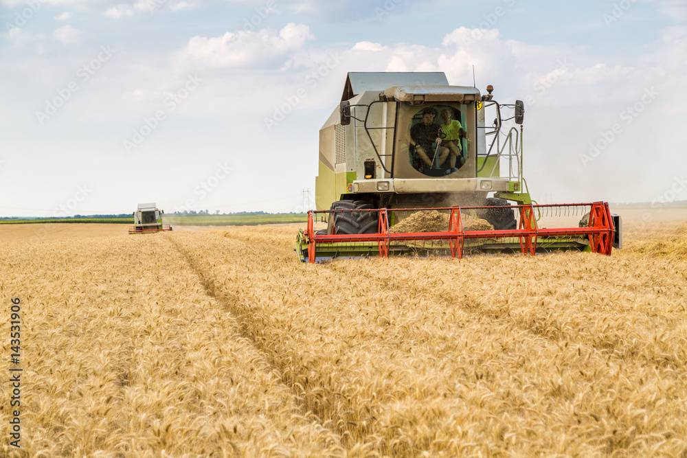 Combine harvester in action on wheat field Combine harvester in action on wheat field