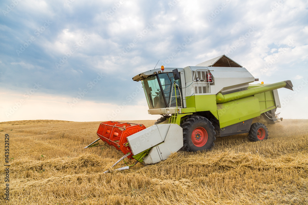Obraz premium Combine harvester in action on wheat field. Harvesting is the process of gathering a ripe crop from the fields.